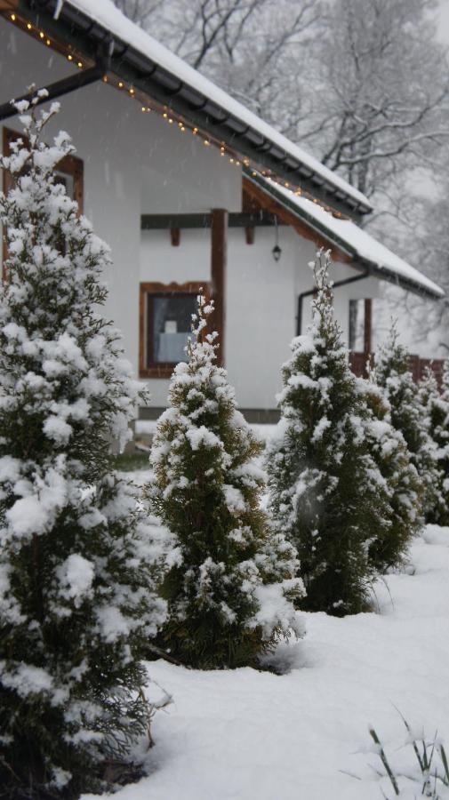 Na Szlaku - Domki Do Wynajecia Rabka-Zdrój Exterior foto